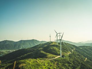 field with wind energy