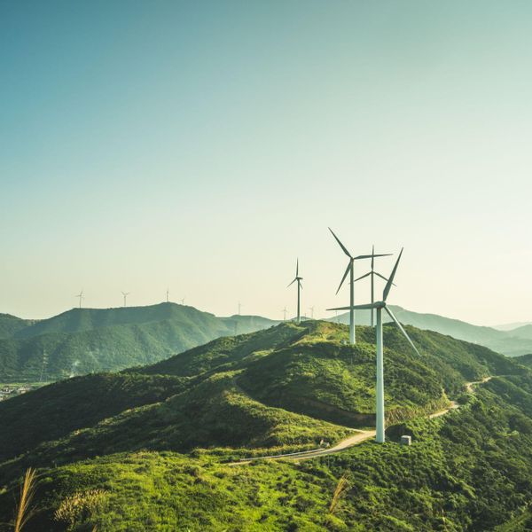 field with wind energy